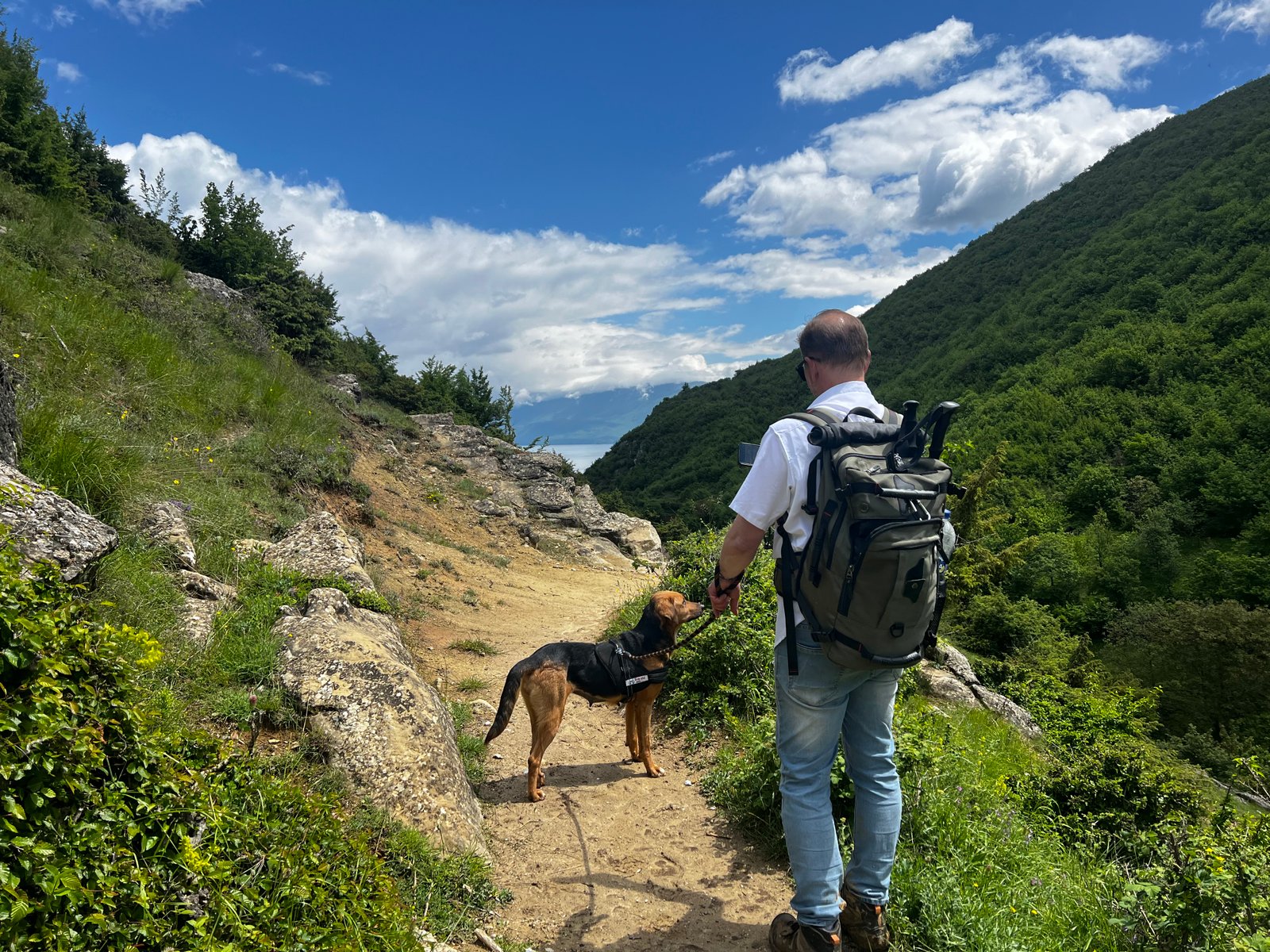 Person walking their dog on a trail in Albania with a green mountain valley below