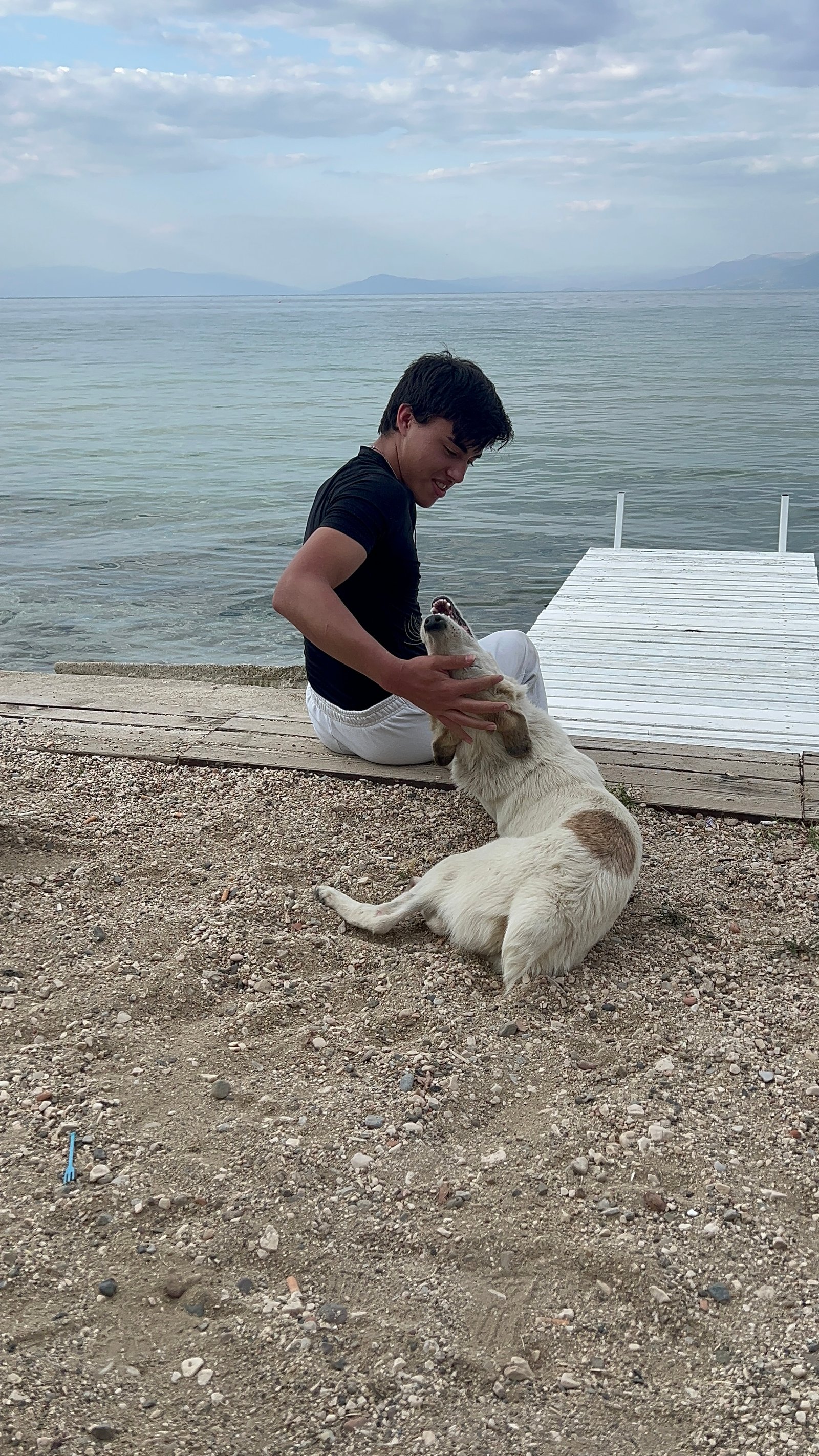 Person gently interacting with a stray dog on an Albanian beach