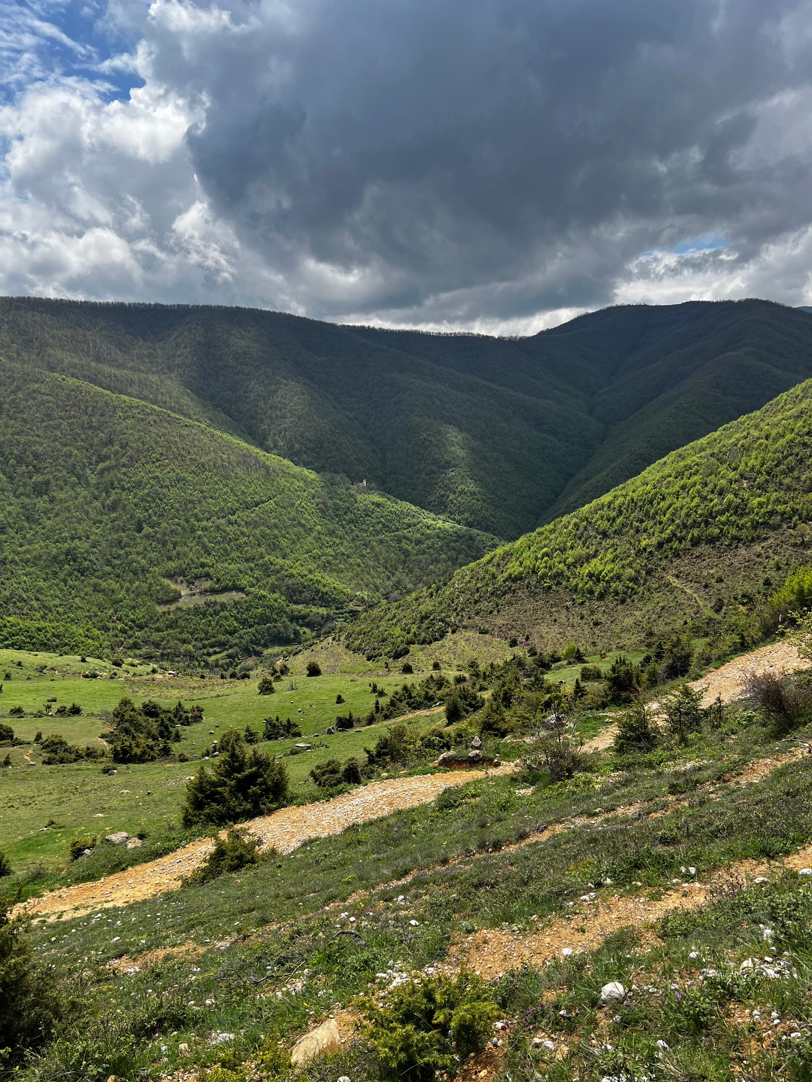 Deep green Albanian mountain valley with dramatic cliffs and alpine pastures