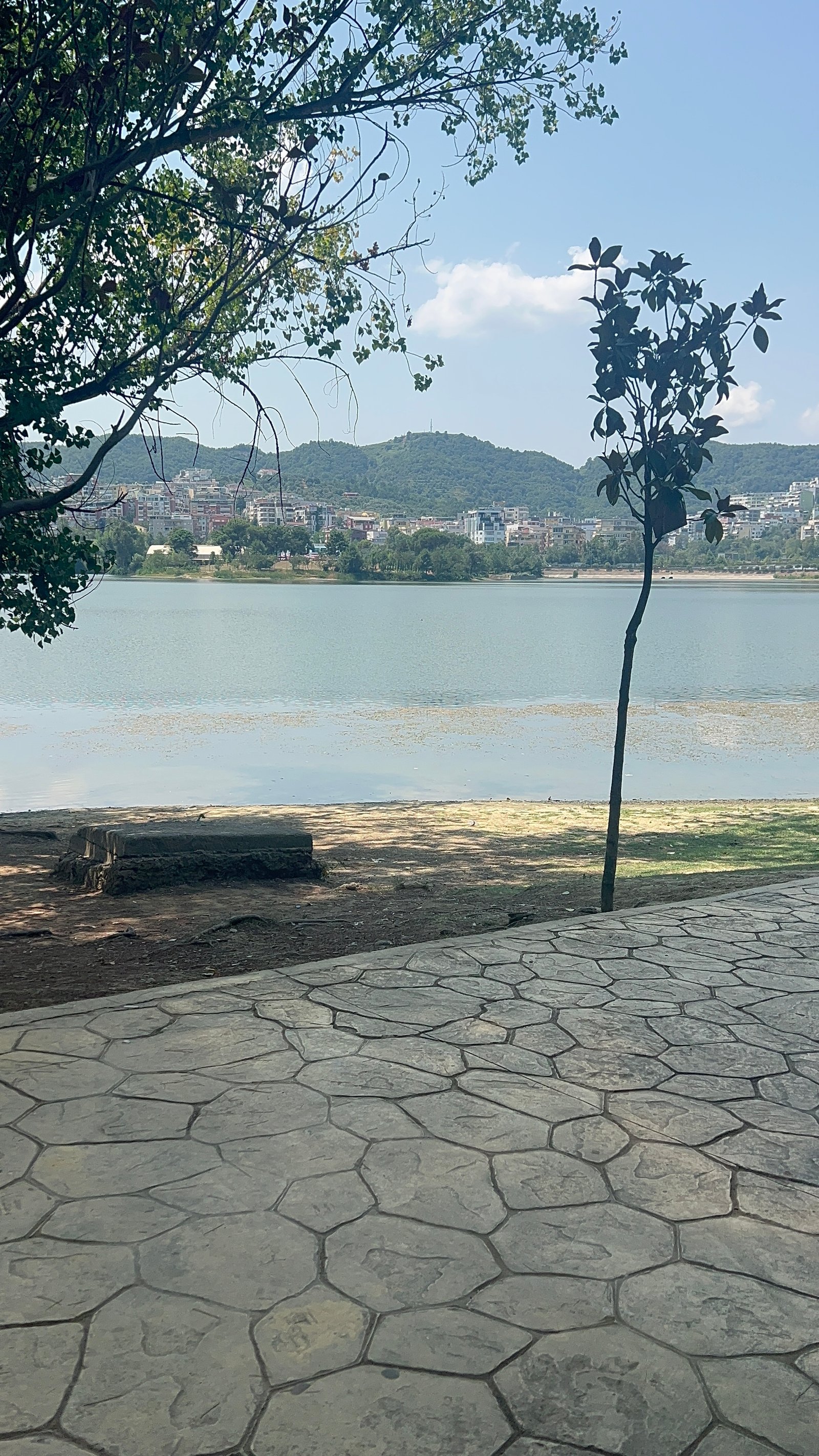 Grand Park of Tirana (Parku i Madh) — the lake and walking paths where Tirana's dog owners walk every day