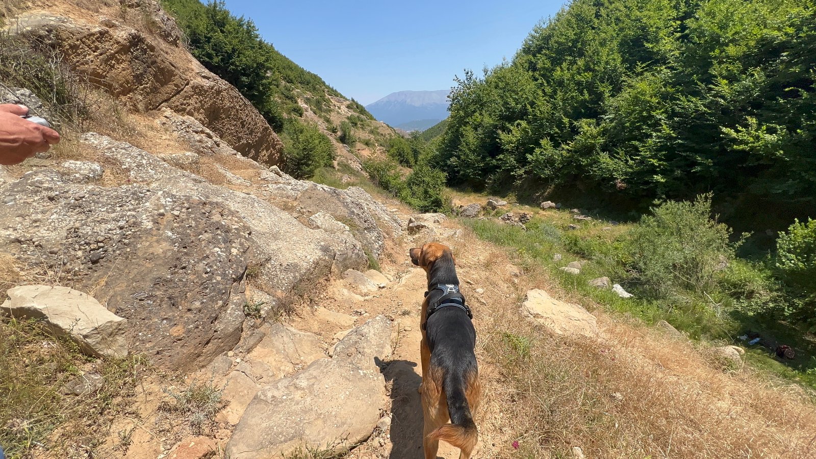Dog hiking on the rocky trail toward Kisha e Shën Dielës with mountains and sky behind