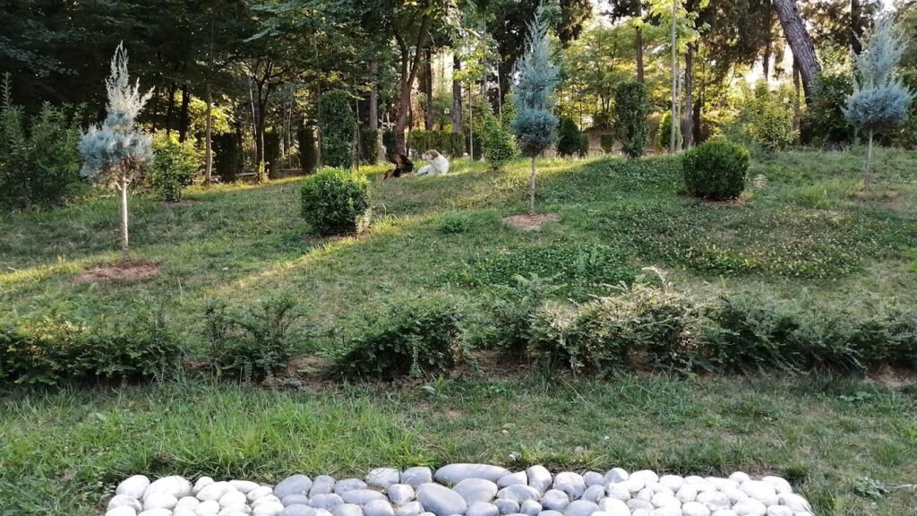 artificial lake part gran park Tirana pet friendly dog park