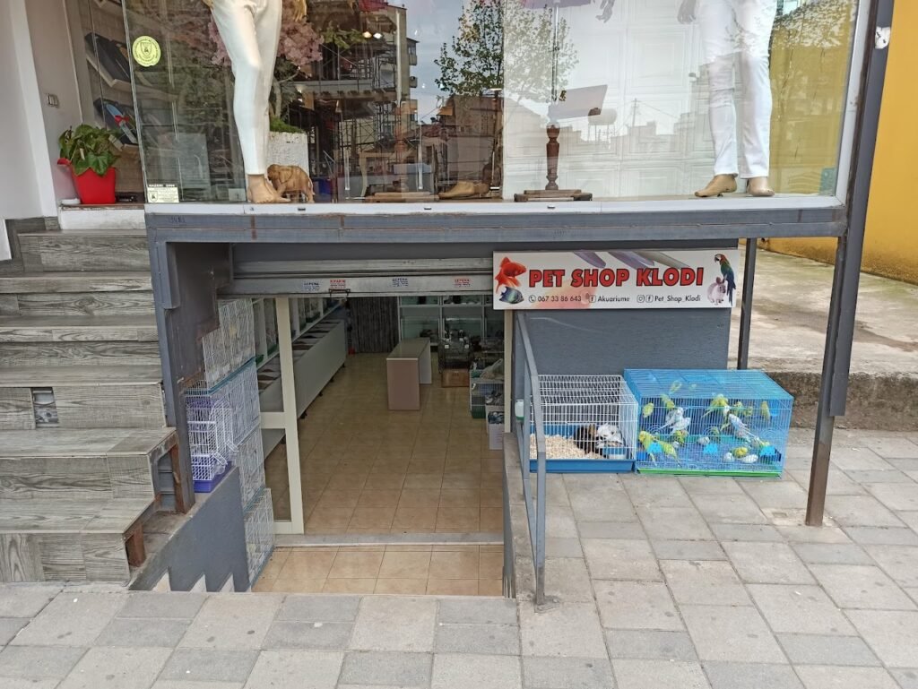 Klodi Pet Shop Bird fish aquarium supplies Tirana albania