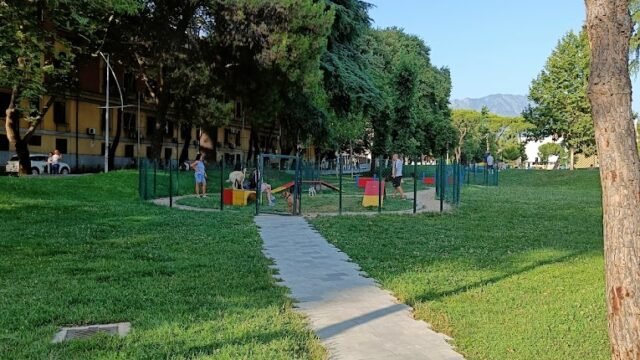 dog park kamez Tirana albania