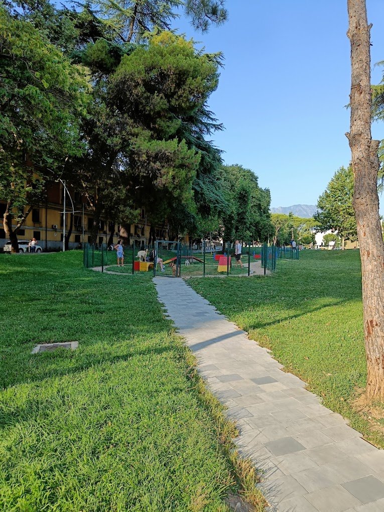 dog park kamez Tirana albania