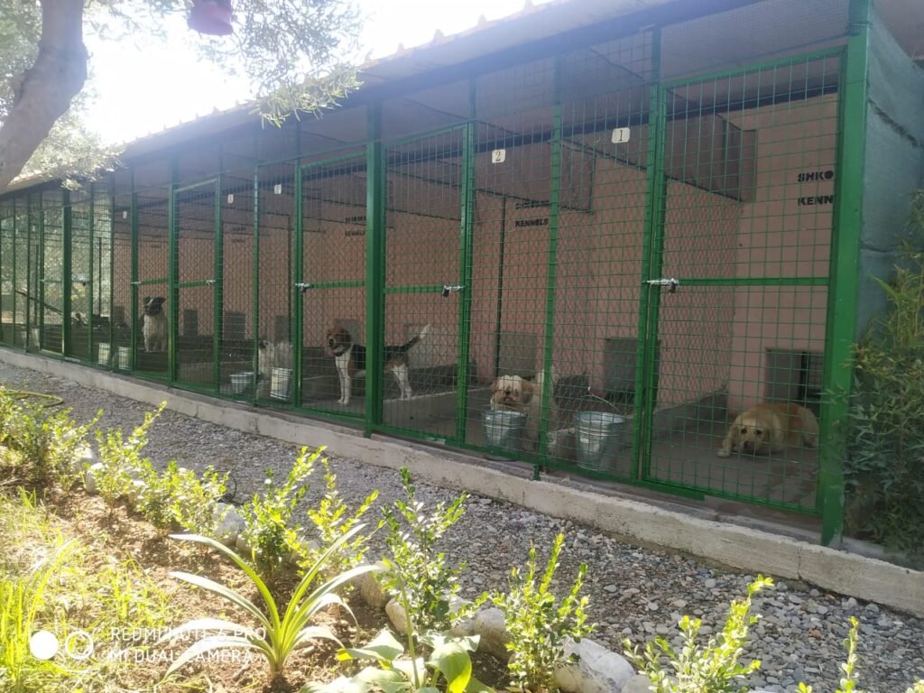 pet hotel Shkoder shkodra albania dog trainer
