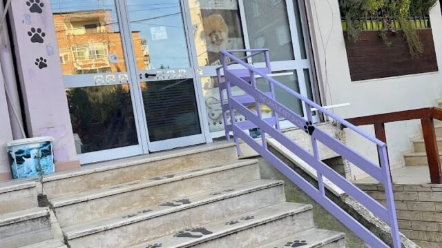 Pet love dog groomer Tirana albania store front