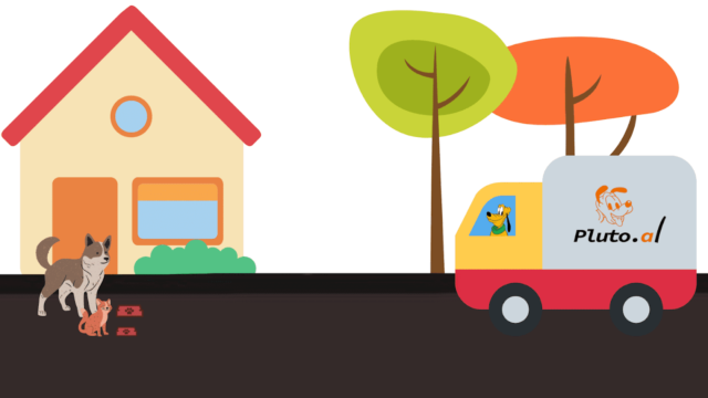 Pluto Albania pet delivery supplies products Tirana Albania