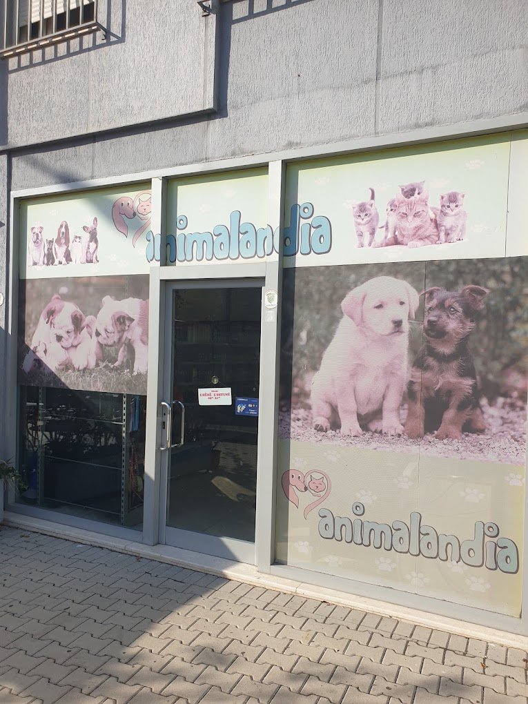 Animalandia pet shop and groomer grooming dog