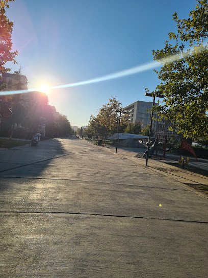 dog walking path Tirana albania
