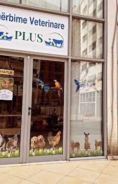 vet clinic store front tirana albania