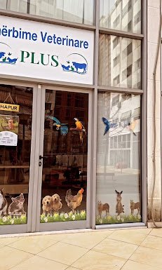 vet clinic store front tirana albania