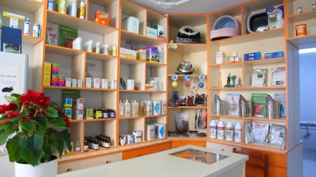 pet dog cat vet Vlore albania veterinarian