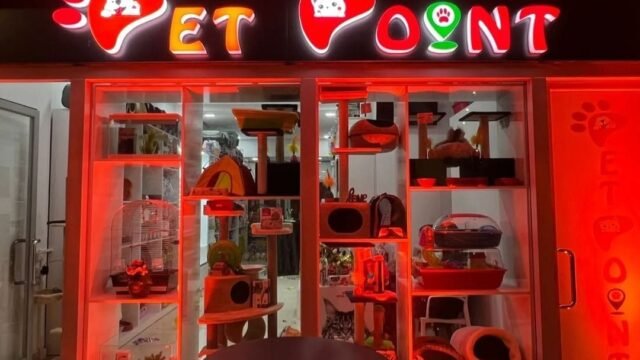 pet point pet store adopt albania Vlore cats