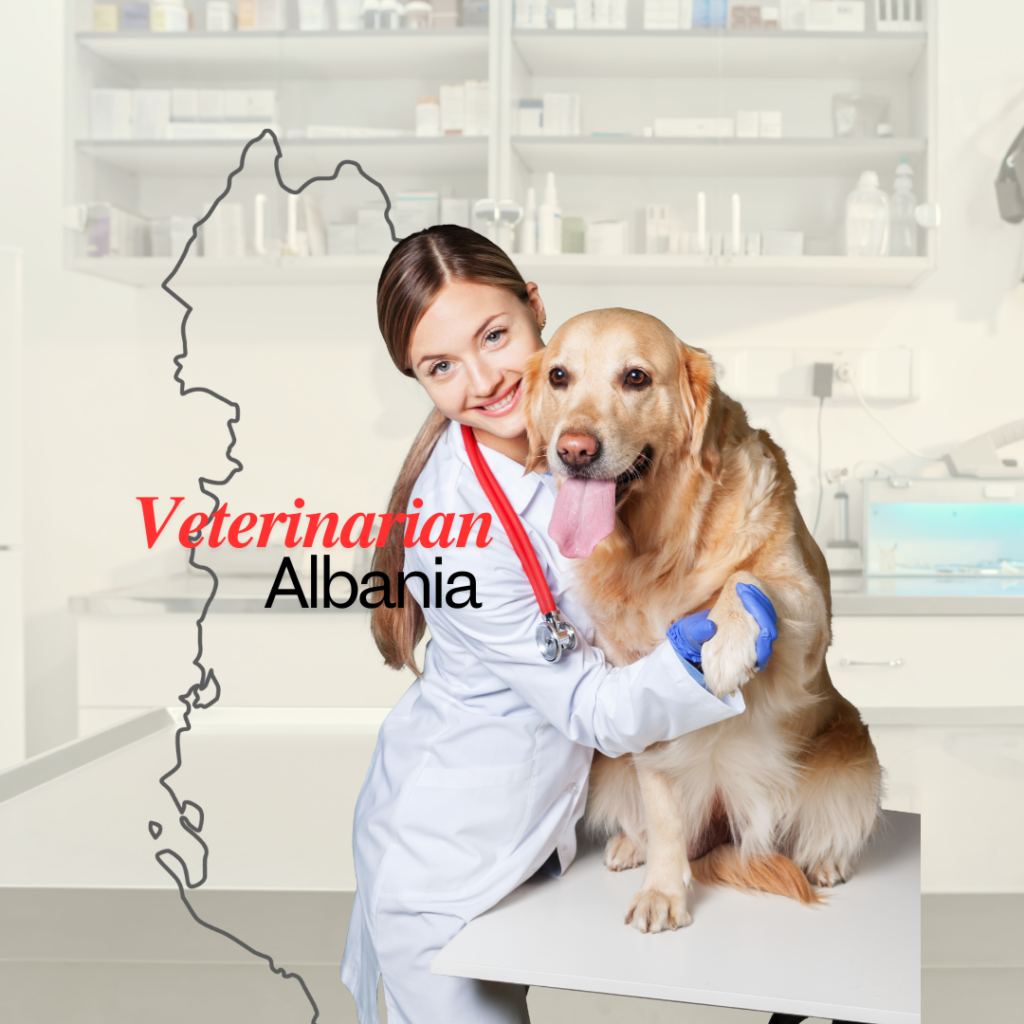 vet albania veterinarian clinic pet dogs cats er