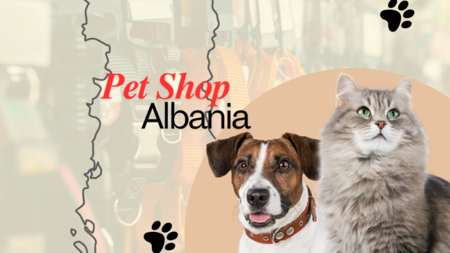 pet shop supplies dog cats