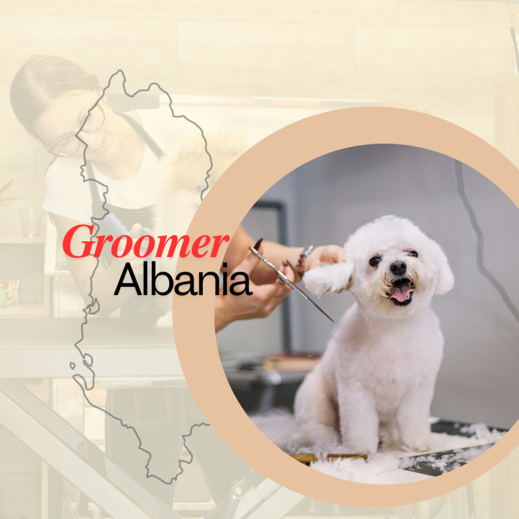 Groomer albania dog dogs pet groomers