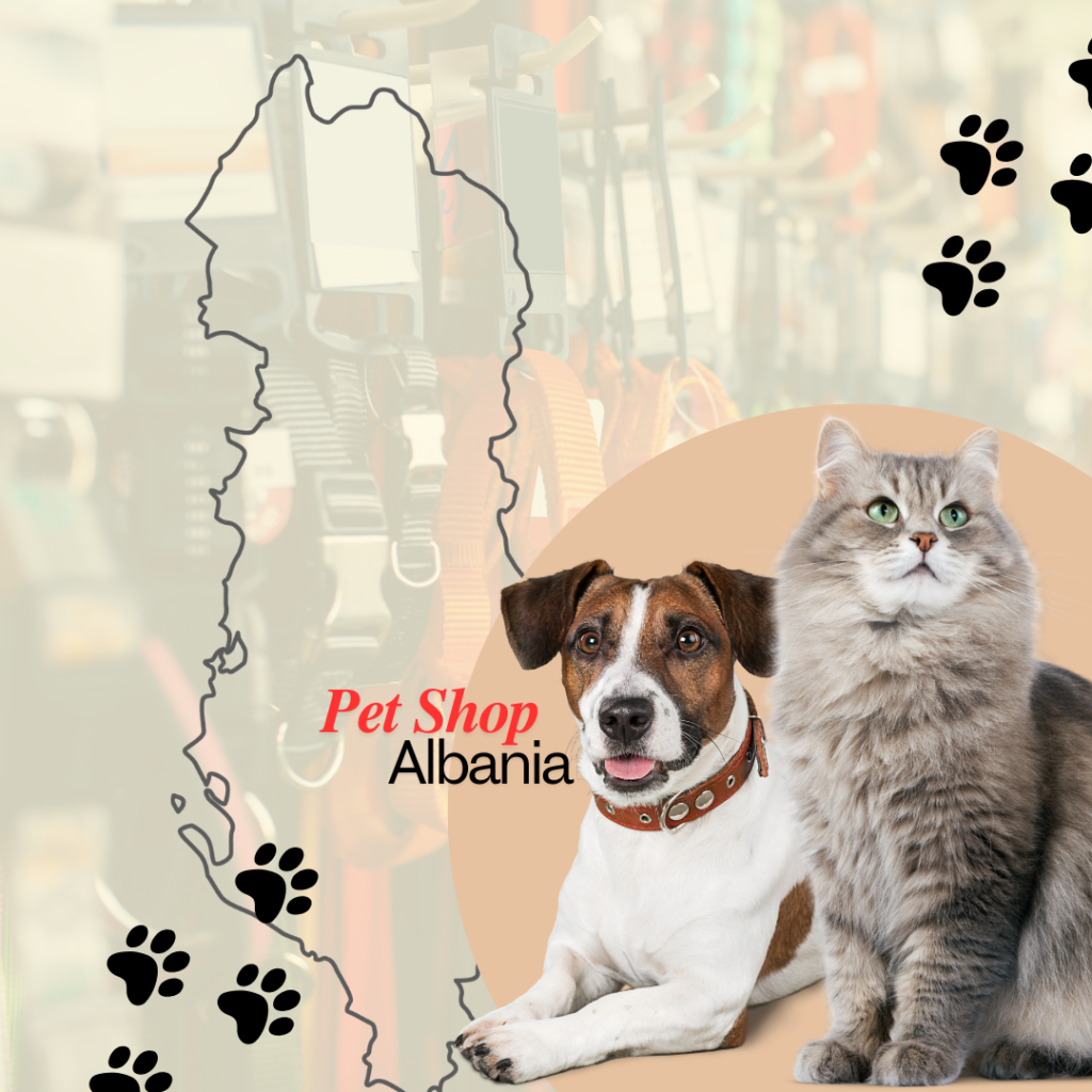 pet friendly albania dogs cats supplies