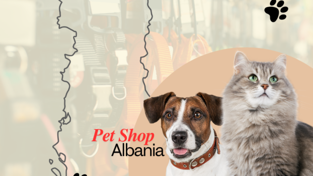 pet friendly albania dogs cats supplies