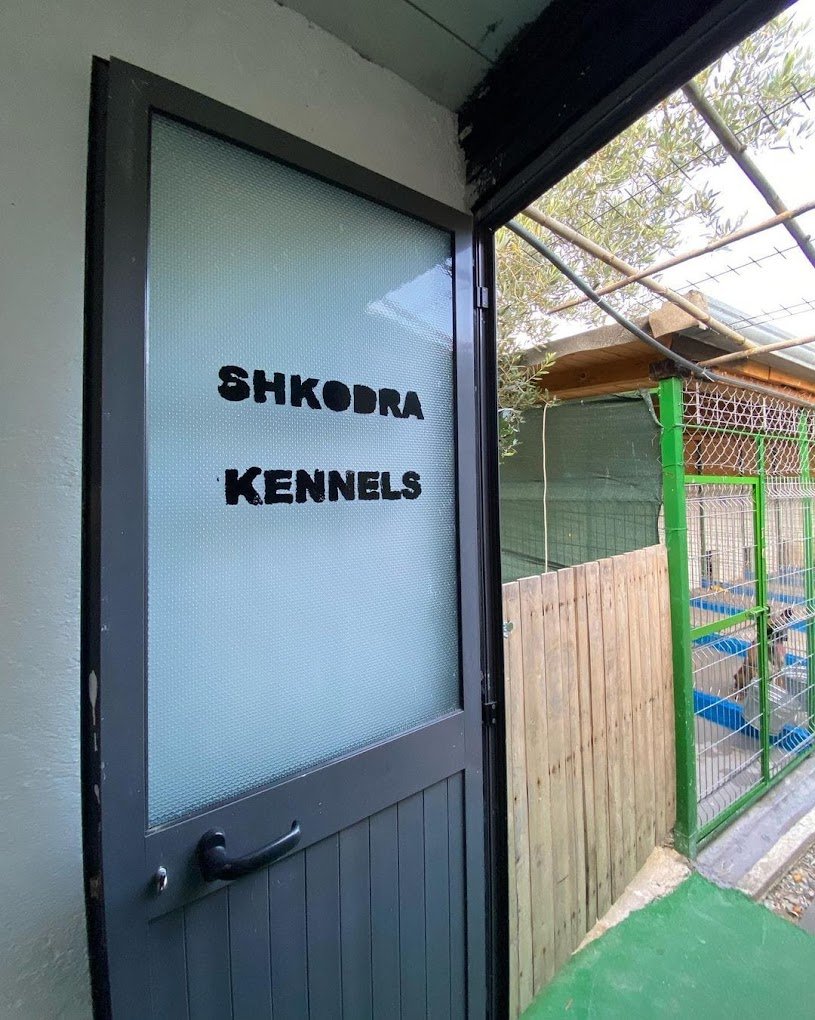 Pet hotel dog trainer in shkodra albania