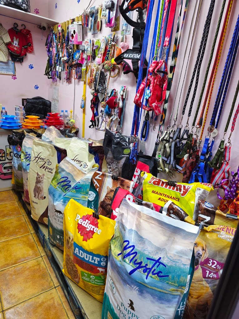 Colorful pet store in Tirana Albania