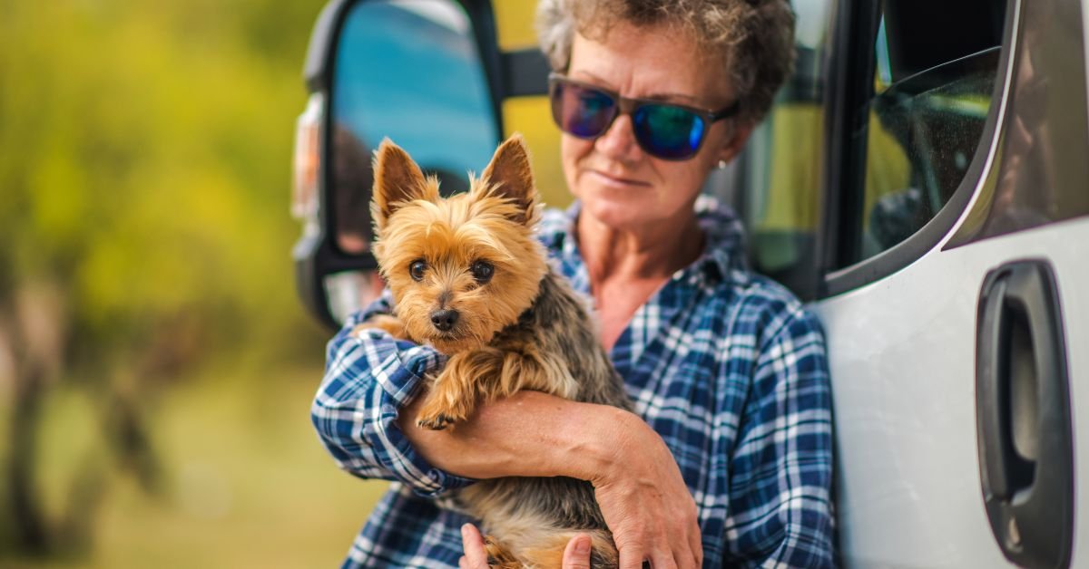 🐾 Pet-Friendly Road Trip Through Albania: A City-by-City Guide