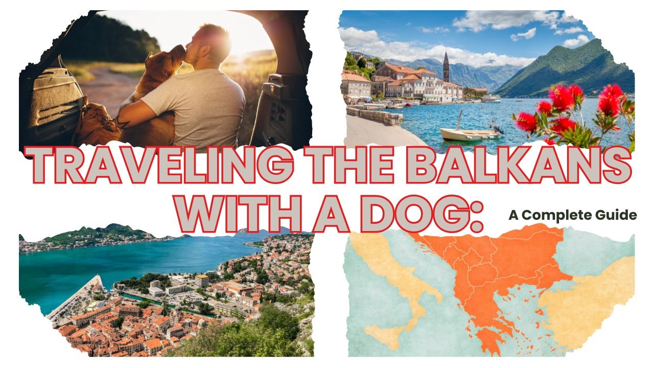 traveling the Balkans with a dog pet friendly traveling